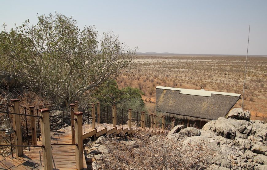 Etosha National Park Game Drive