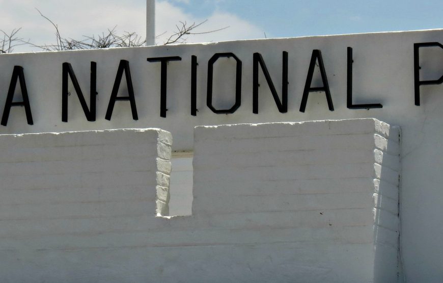 Etosha National Park Game Drive