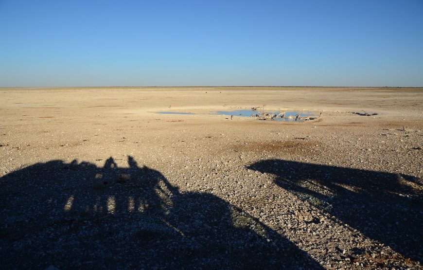 Etosha National Park Game Drive